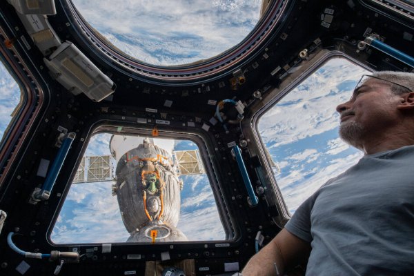 Кракен даркнет войти