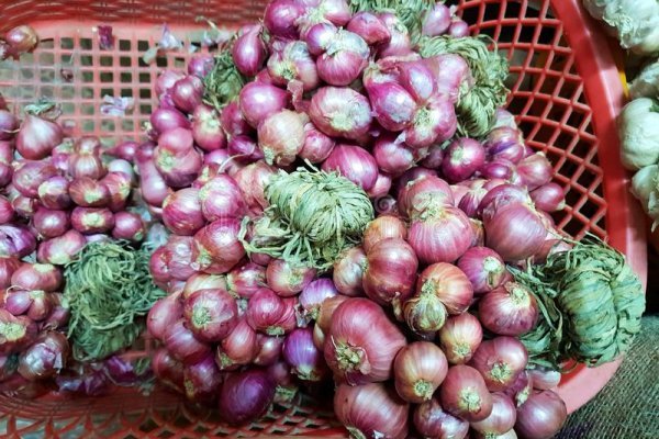 Даркнет ссылка