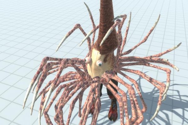 Зайти на кракен через браузер