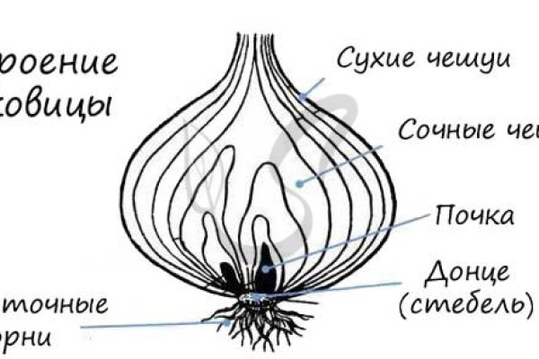 Как зайти на мегу даркнет